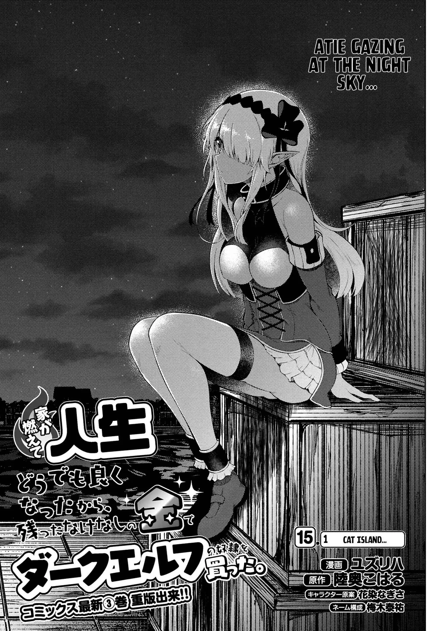 Ie ga Moete Jinsei Dou Demo Yoku Natta kara, Nokotta Nakenashi no Kin de Dark Elf no Dorei o Katta Chapter 15.1 4